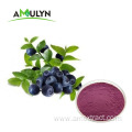 dehydratedfreeze dried blueberry powder